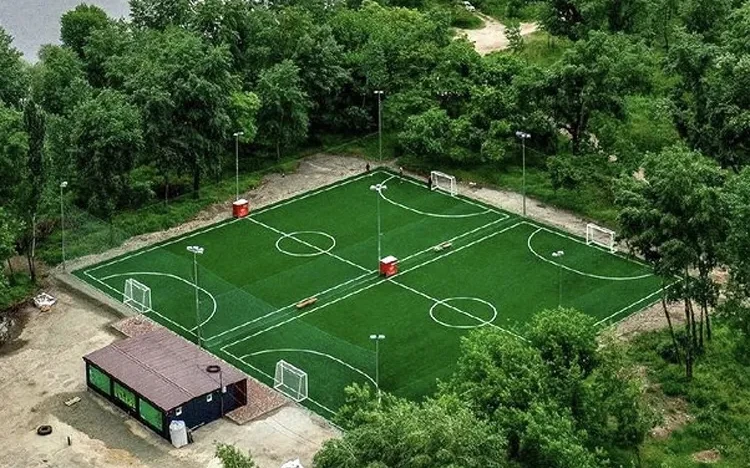 Берковщина поле - фото 3