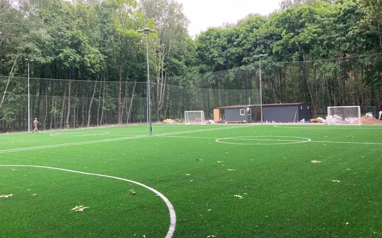 Совки поле - фото 6