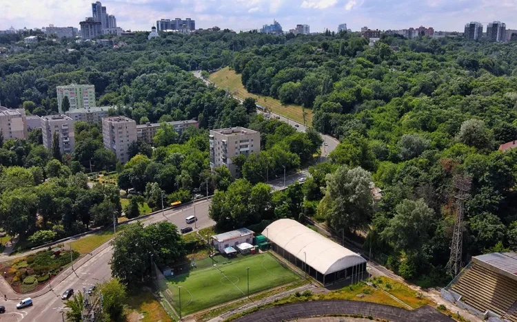 Спартак поле - фото 6