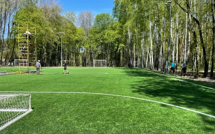 Спутник поле - фото 1